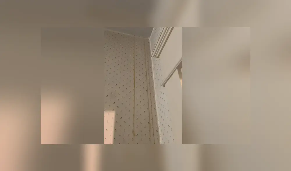 Una familia se enteró que estaban viviendo junto a una enorme cantidad de abejas por un largo tiempo. Foto: Facebook. Una familia se enteró que estaban viviendo junto a una enorme cantidad de abejas por un largo tiempo. Foto: Facebook.