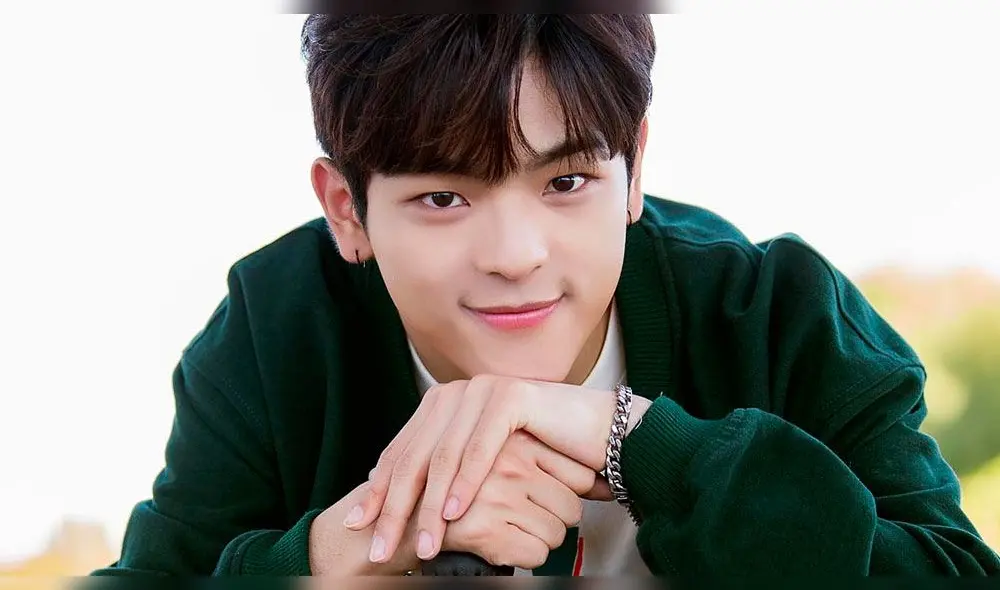 ¿Por qué Woojin se retiró del grupo Kpop Stray Kids? [VIDEO]