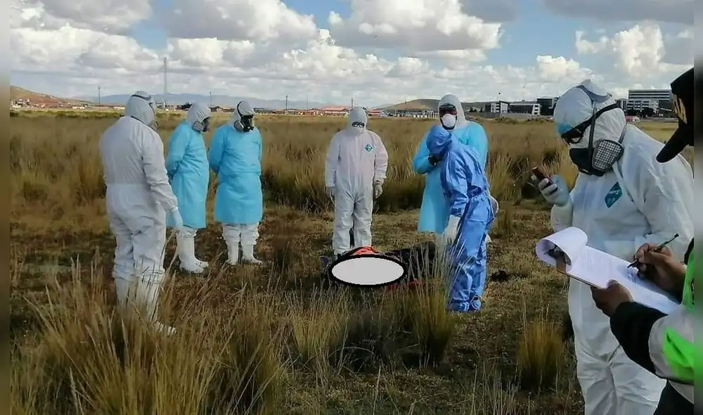 Juliaca. Cadáver de varón fue encontrado a la intemperie por lo que fueron necesarios los protocolos por el coronarivus.