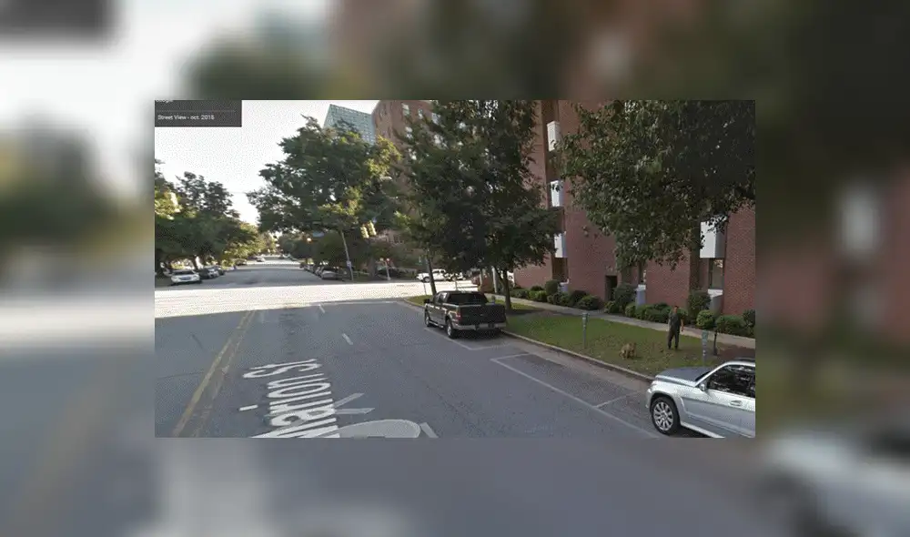 Google Maps: capta a hombre en curiosa escena con su perro cuando recorre calle de EE.UU [FOTOS]