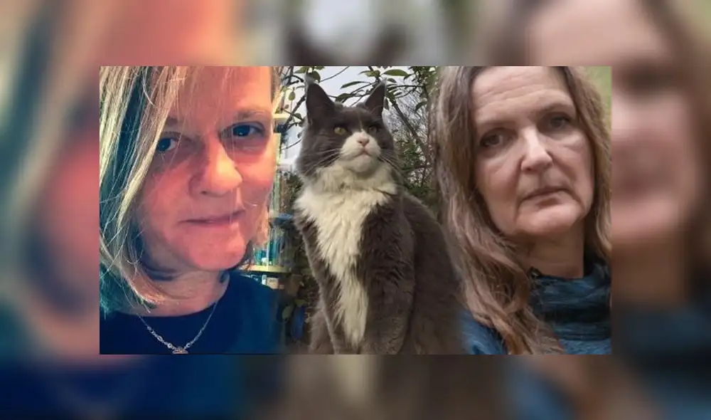 Jackie Hall denunció a su vecina para que no deje que su gato se acerque más a su casa. Jackie Hall denunció a su vecina para que no deje que su gato se acerque más a su casa.