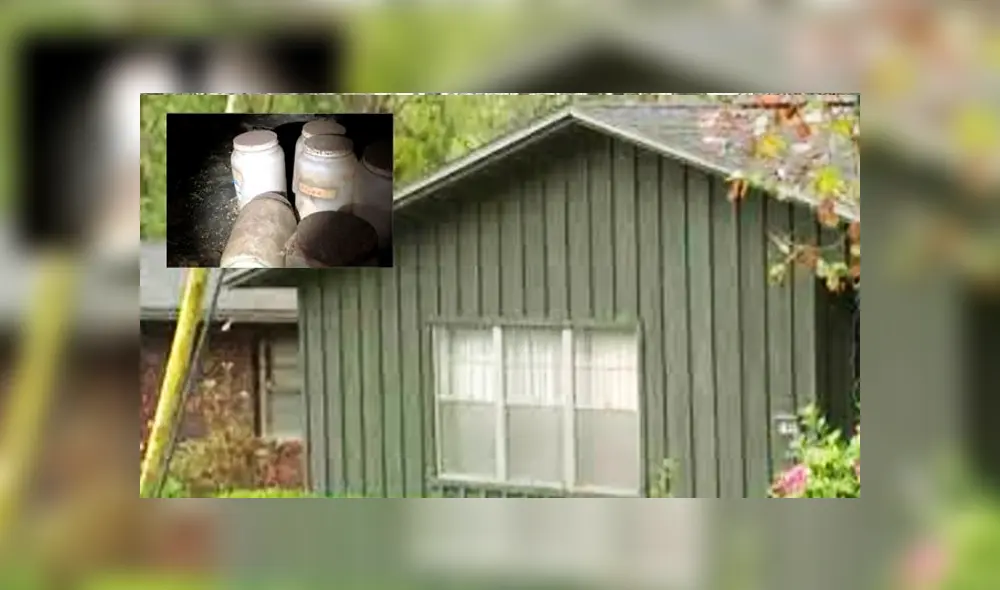 Hallan seis frascos con lenguas humanas en casa de un médico [VIDEO]