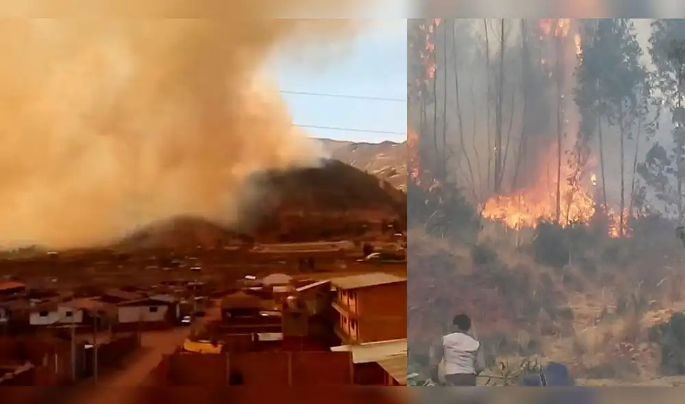 Controlan incendio que amenazaba parque arqueológico y jurásico en Cusco