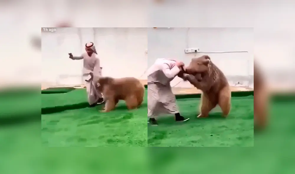 Facebook: feroz oso se lanza sobre un príncipe árabe y deja asombrado a miles de usuarios [VIDEO]