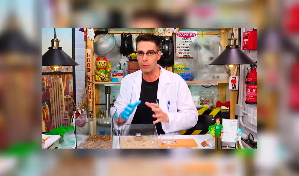 YouTube viral: supergusanos carnívoros y hormigas de fuego tienen enfrentamiento que causa furor en las redes [VIDEO]