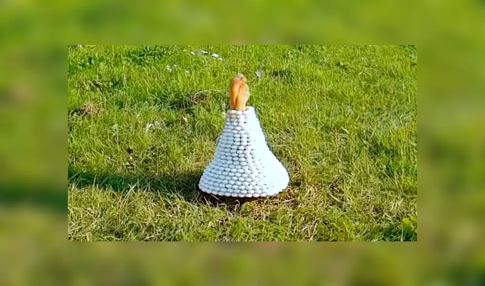 El experimento del joven sorprendió a miles de usuarios. Foto: Power Vision El experimento del joven sorprendió a miles de usuarios. Foto: Power Vision