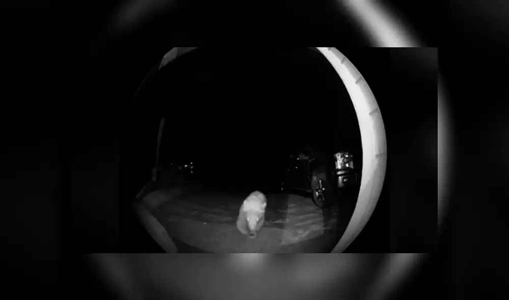 Desliza hacia la izquierda para ver las imágenes del viral de YouTube. Foto: Captura.