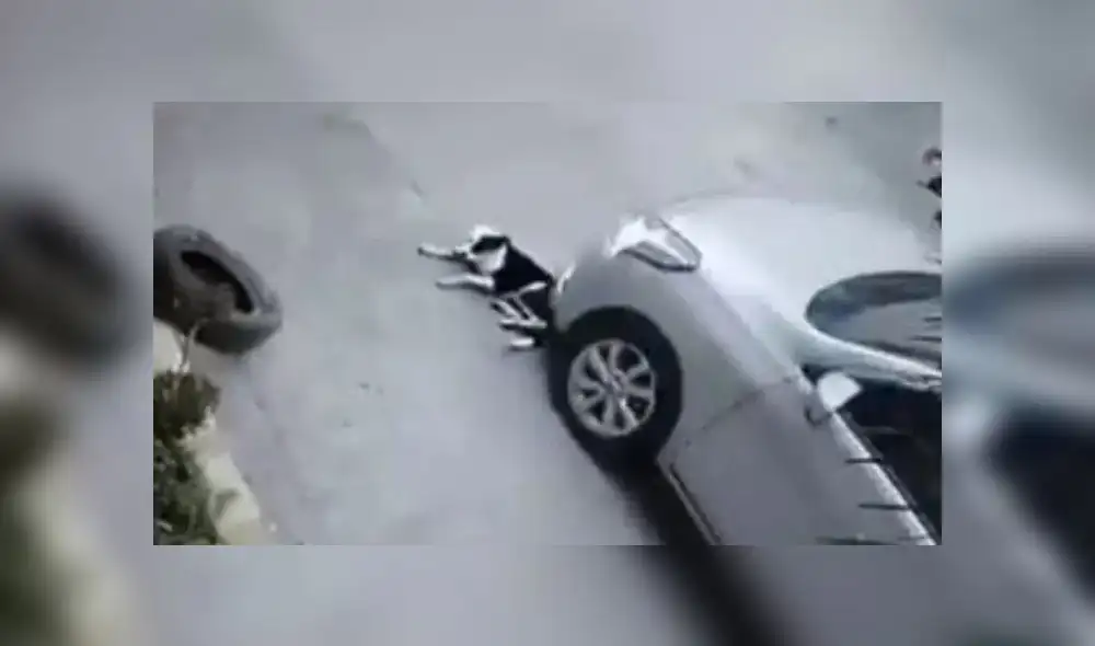 El momento en el que perrito es aplastado por un carro. Foto: captura de video.