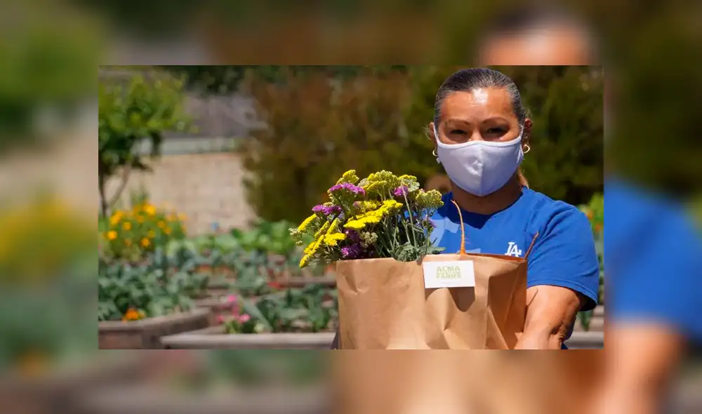 La cesta llena de alimentos son cultivados en el huerto de la parroquia San Alberto. La cesta llena de alimentos son cultivados en el huerto de la parroquia San Alberto.