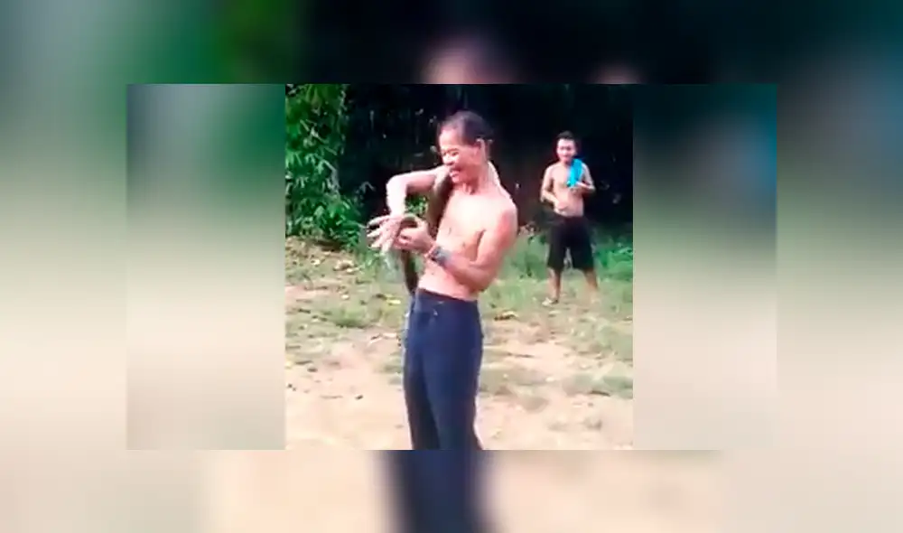 ‘Encantador de serpientes’ muere por la mordida de una cobra mientras presumía ‘poderes mágicos’ [VIDEO] 