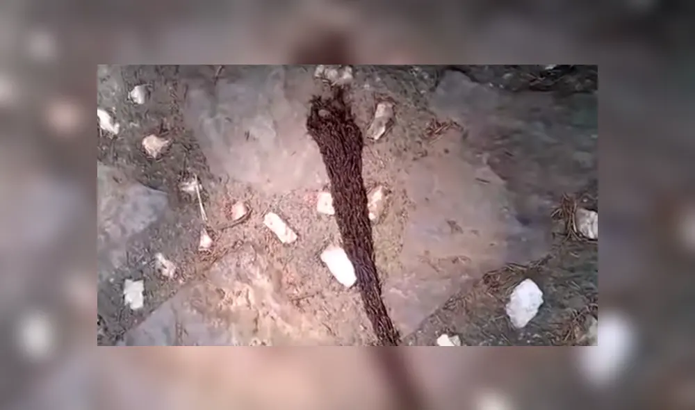 Desliza para ver las imágenes más impactantes del video que se hizo viral en YouTube.