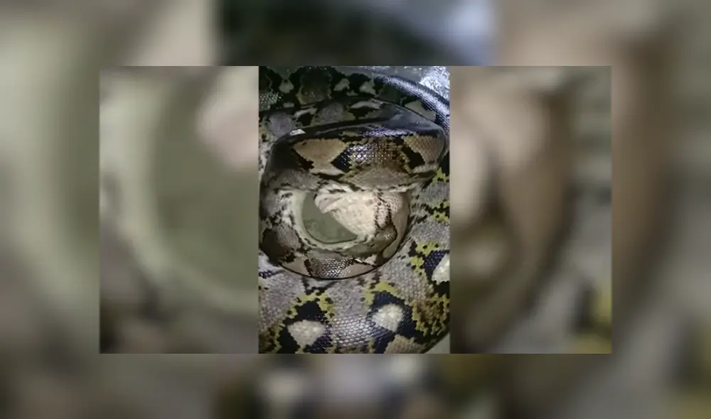 Desliza hacia la izquierda para ver las imágenes del viral de YouTube.