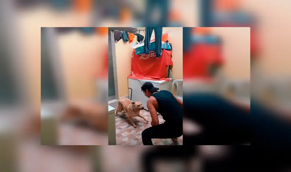 Desliza las imágenes para observar los movimientos que realizó un joven junto a su perro para pasar un reto de baile.