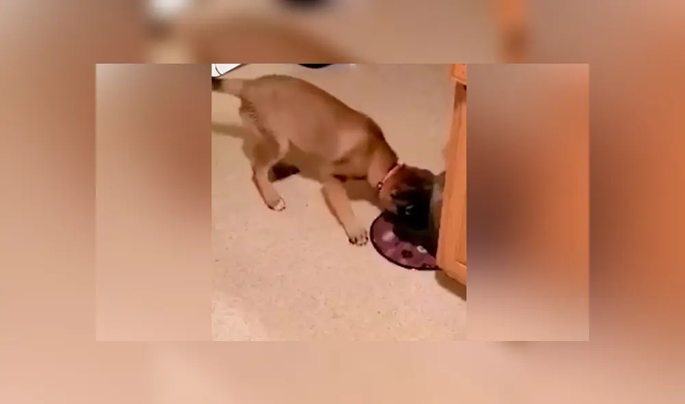 Desliza para ver los momentos más divertidos del video que se hizo viral en Facebook.