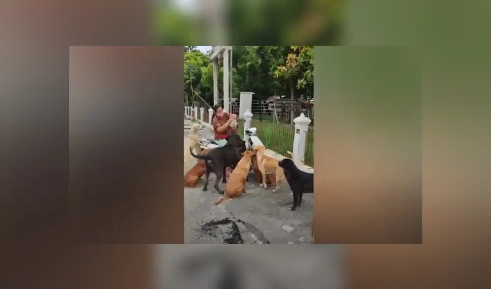 Desliza hacia la izquierda para ver más del video viral. Fotocaptura: YouTube