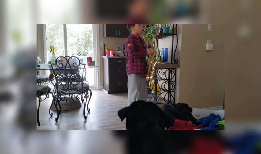 Desliza para ver los detalles del video viral publicado en YouTube. Foto: Captura. Desliza para ver los detalles del video viral publicado en YouTube. Foto: Captura.