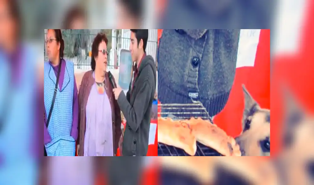 Twitter: perro que hurtó una empanada en plena entrevista es furor en redes sociales [VIDEO]