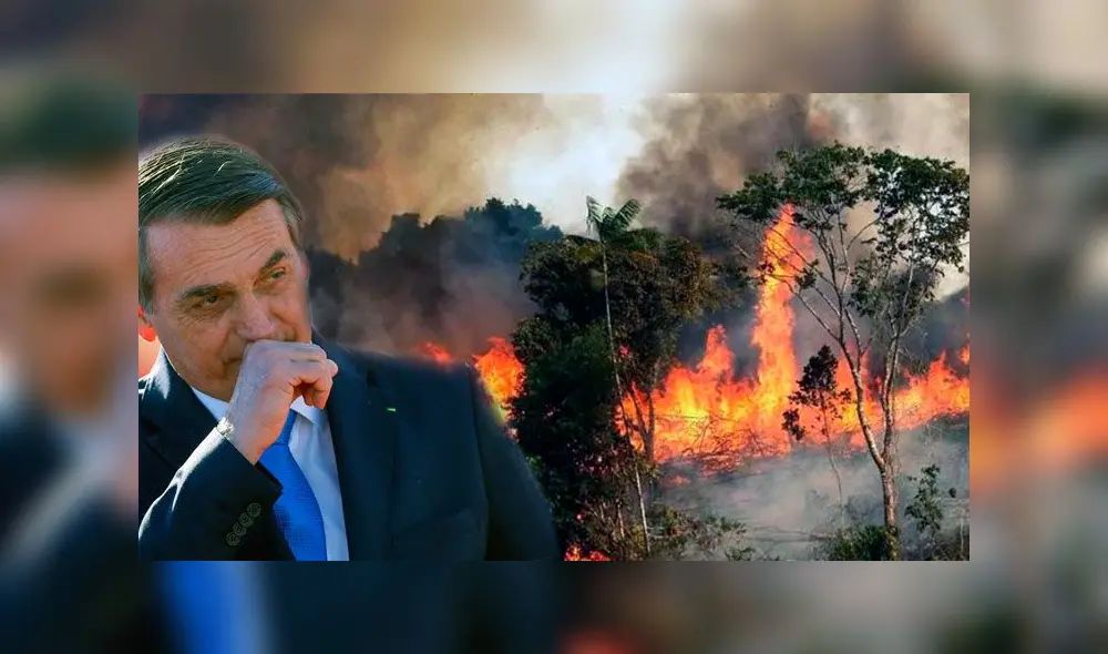 Incendios en el Amazonas habrían sido provocados por activistas de ONG, según investigación. Foto: Composición