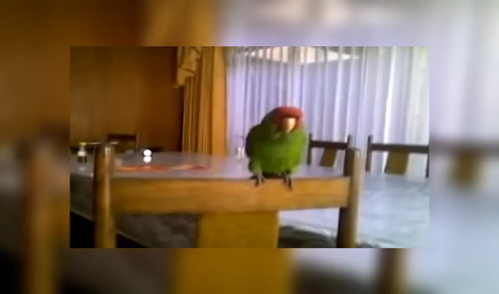 Desliza para ver los detalles del video viral publicado en Facebook. Foto: Captura. Desliza para ver los detalles del video viral publicado en Facebook. Foto: Captura.