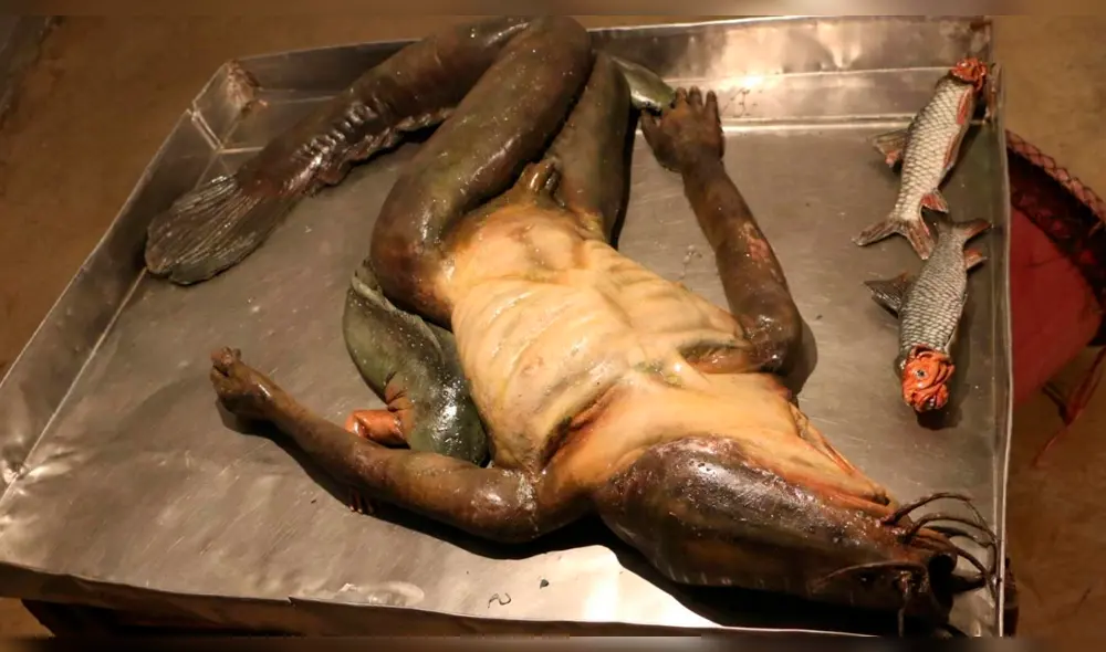 YouTube: esta es la verdadera historia de la 'sirena mutante' de Indonesia YouTube: esta es la verdadera historia de la 'sirena mutante' de Indonesia