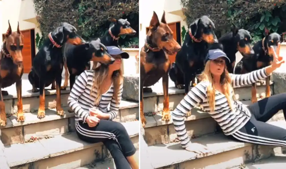 Desliza hacia la izquierda para ver más imágenes sobre esta divertida escena. (Foto: captura / TikTok)