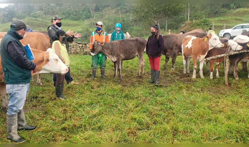 Capacitan a ganaderos de Amazonas