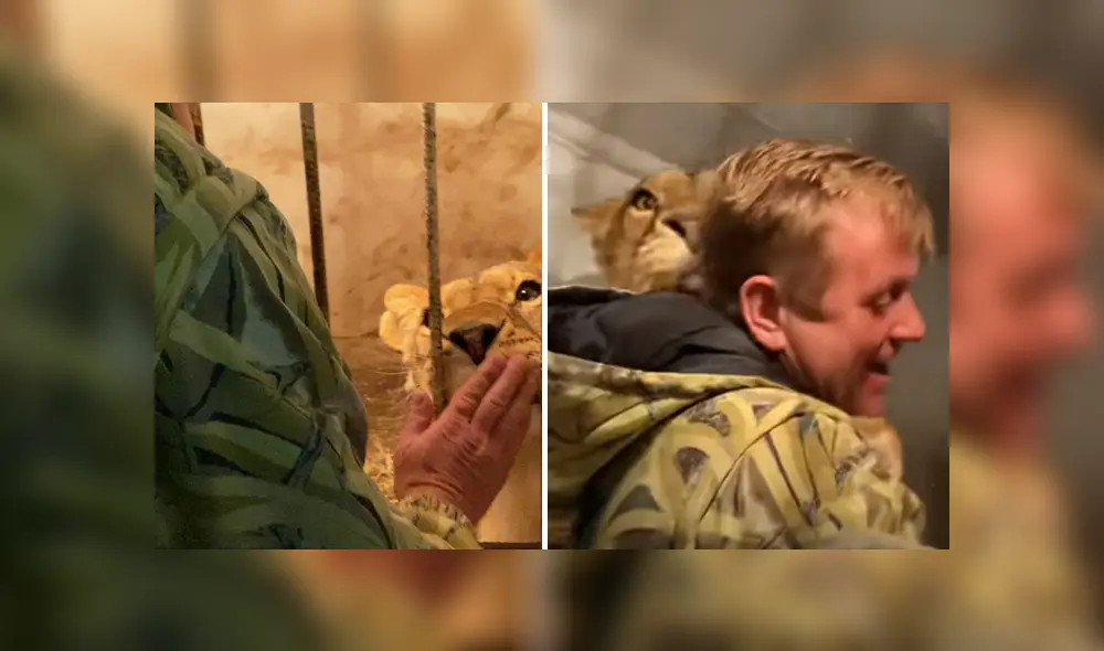 Desliza hacia la izquierda para ver las imágenes de viral de Facebook. Desliza hacia la izquierda para ver las imágenes de viral de Facebook.