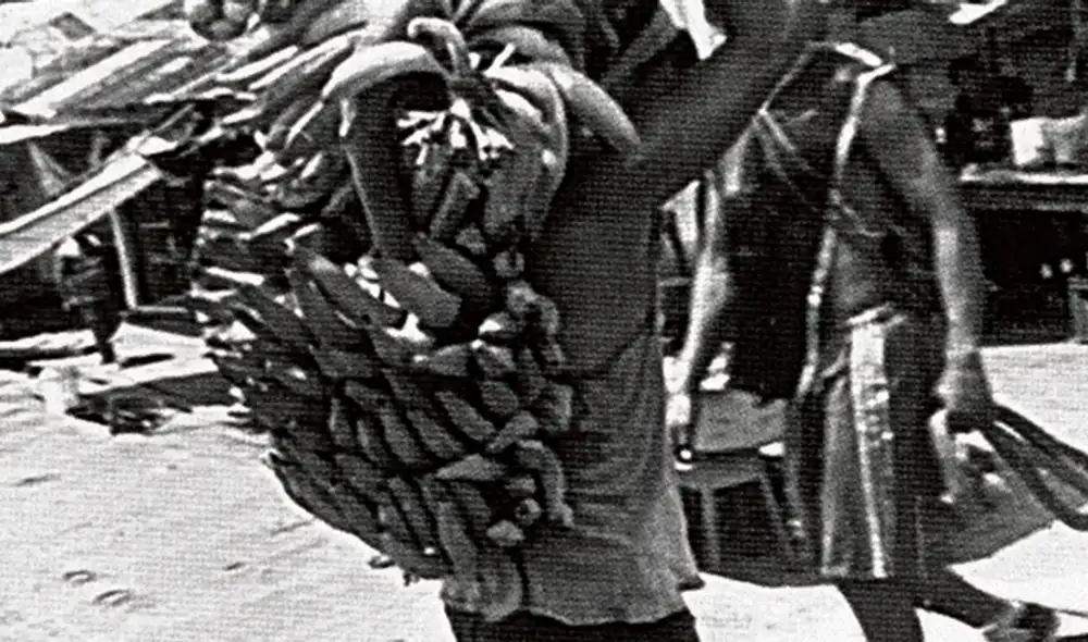 El ojo amazónico de Augusto Falconí 