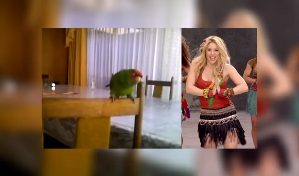 Desliza para ver los detalles del video viral publicado en Facebook. Foto: Captura. Desliza para ver los detalles del video viral publicado en Facebook. Foto: Captura.