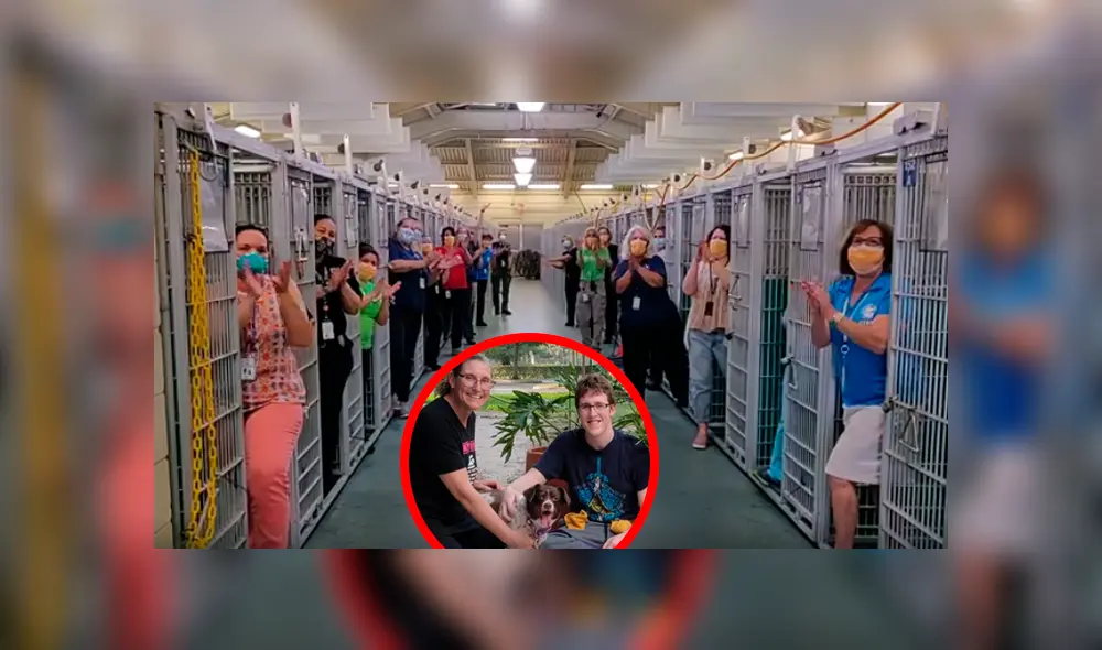 Desliza las imágenes para apreciar la conmovedora celebración de los trabajadores al enterarse sobre la adopción de los animales. Desliza las imágenes para apreciar la conmovedora celebración de los trabajadores al enterarse sobre la adopción de los animales.