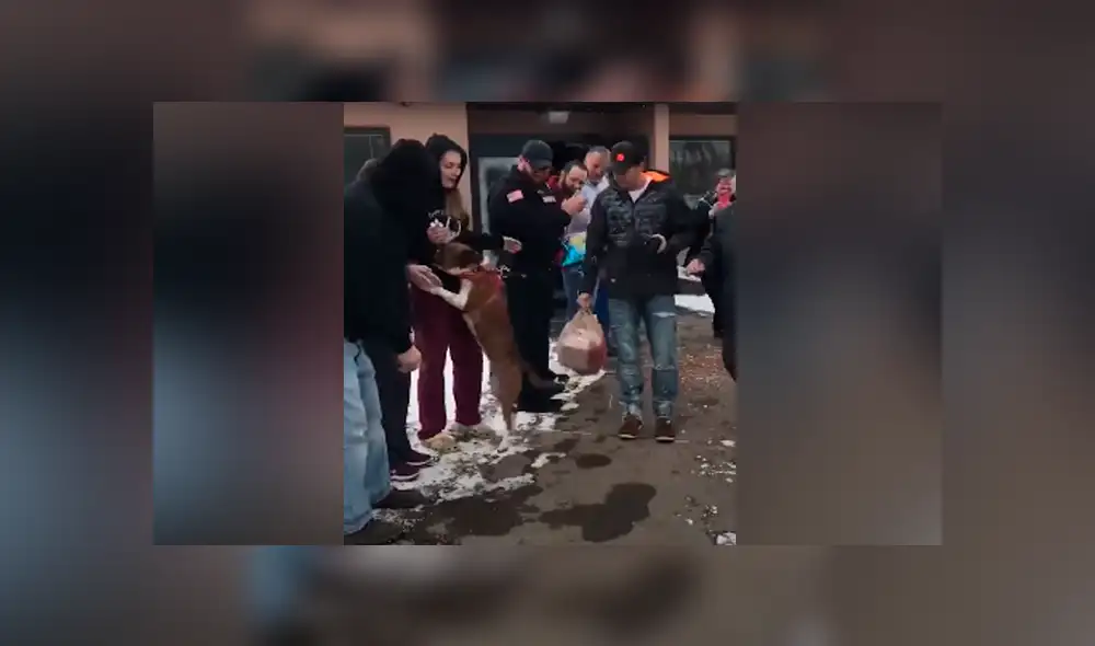 Desliza para ver los momentos más tiernos del video que se hizo viral en Facebook. Desliza para ver los momentos más tiernos del video que se hizo viral en Facebook.