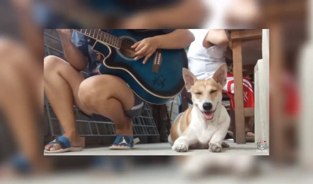 Desliza para ver los detalles del video viral publicado en TikTok. Foto: Captura. Desliza para ver los detalles del video viral publicado en TikTok. Foto: Captura.