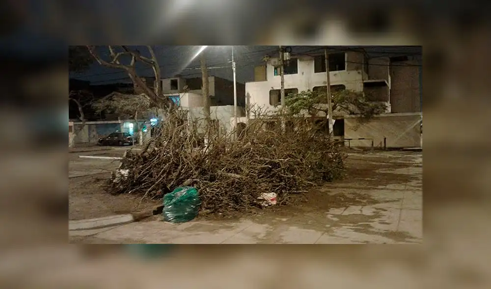 Exigen recojo de desperdicios de calles de SJM.