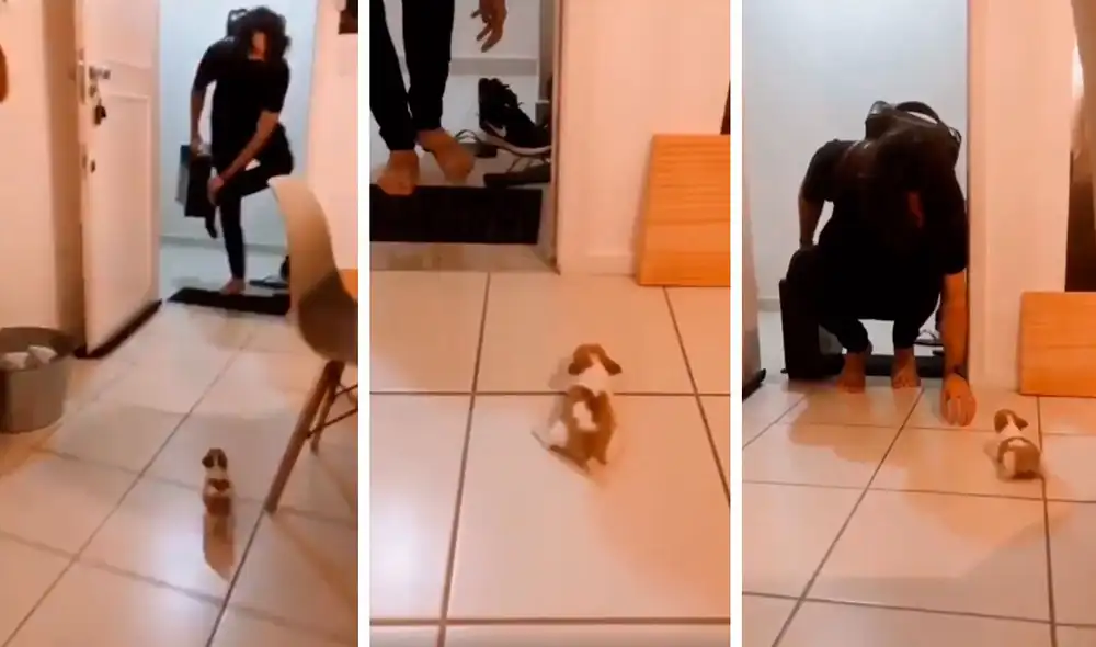 Un cachorro corrió de un lado a otro para mostrar su felicidad al volver a ver a su dueño, quien había regresado después de horas. Foto: captura de Facebook