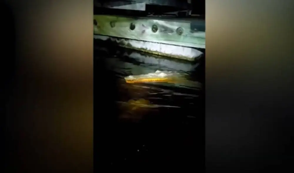 Desliza las imágenes para ver la impactante experiencia que vivió un joven al sumergir su mano en un lago en plena oscuridad. Foto: Caters Clips/ YouTube