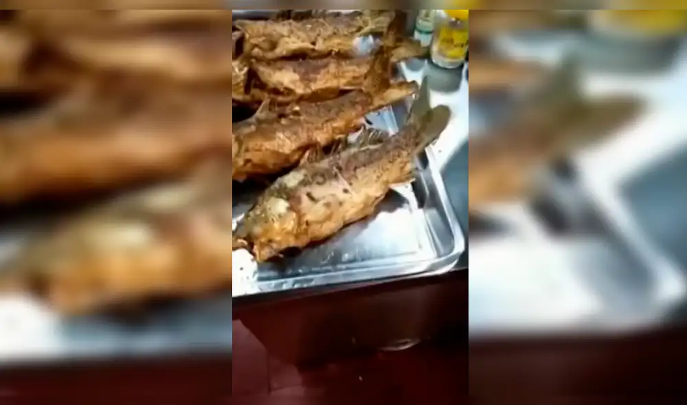 YouTube Viral: pescado frito se mueve en plato y asusta a miles [VIDEO]
