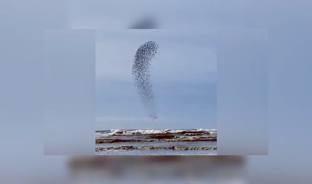 YouTube viral: capta extraña ‘mancha’ que se mueve en el cielo, hace zoom y descubre algo maravilloso [VIDEO]