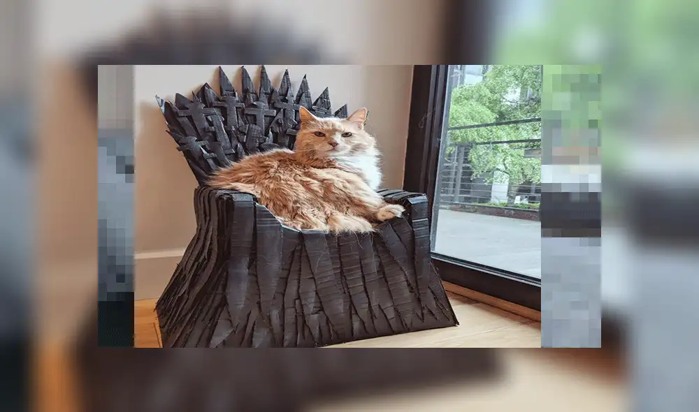 Facebook: Fan de Game of Thrones hace un Trono de Hierro de cartón para su gato y luce así [VIDEO]