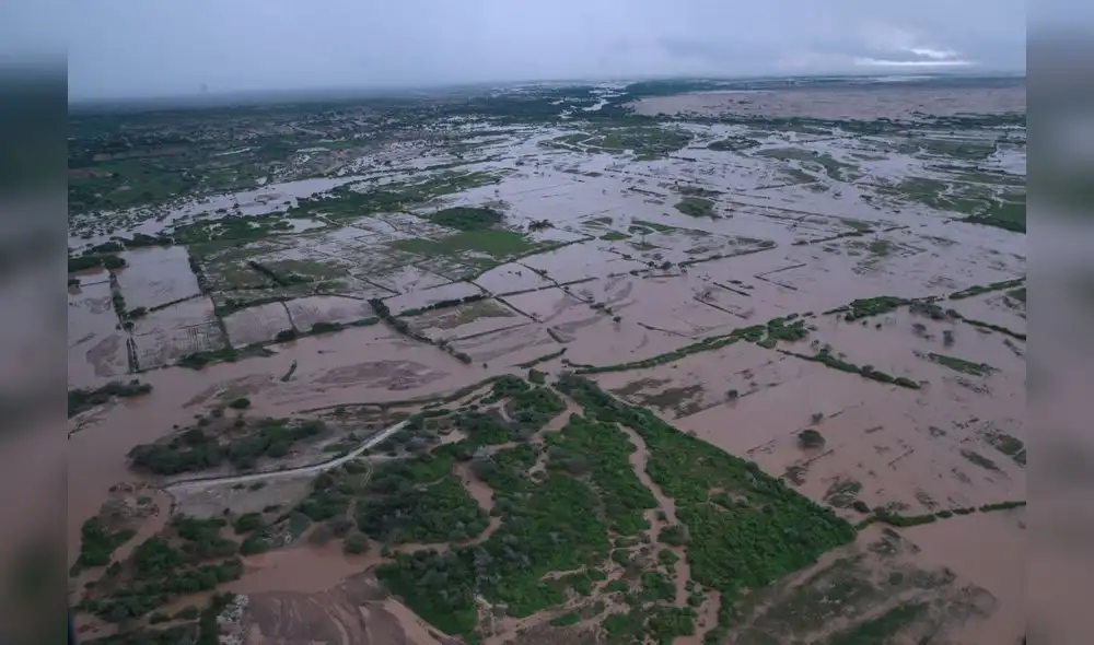 1,5 millones de agricultores afectados por Niño costero y 90 mil hectáreas perdidas 1,5 millones de agricultores afectados por Niño costero y 90 mil hectáreas perdidas