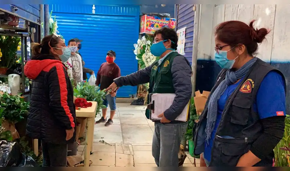 coronavirus coronavirus