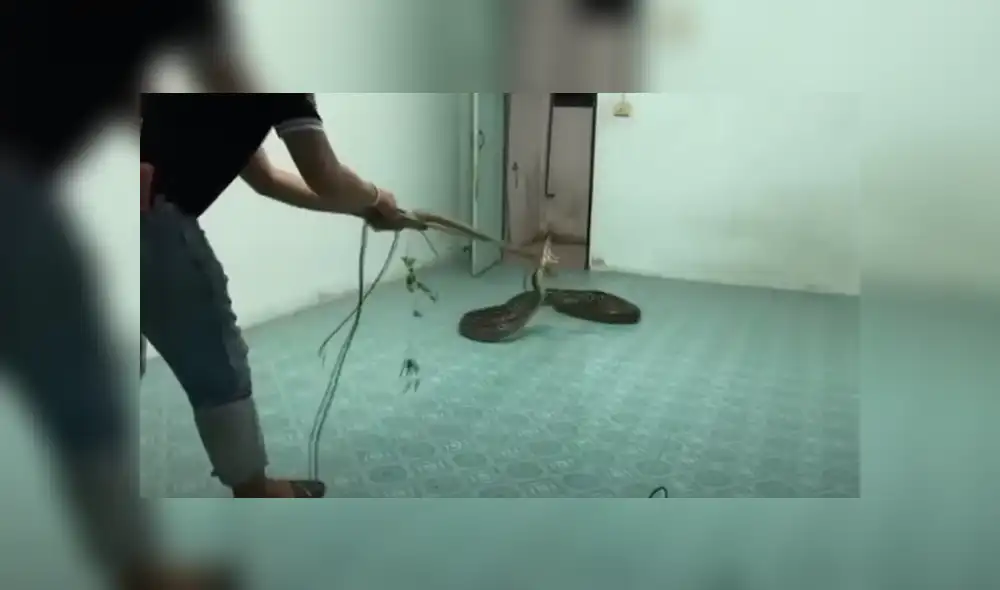 Desliza hacia la izquierda para ver las imágenes del viral de YouTube. Foto: Captura. Desliza hacia la izquierda para ver las imágenes del viral de YouTube. Foto: Captura.