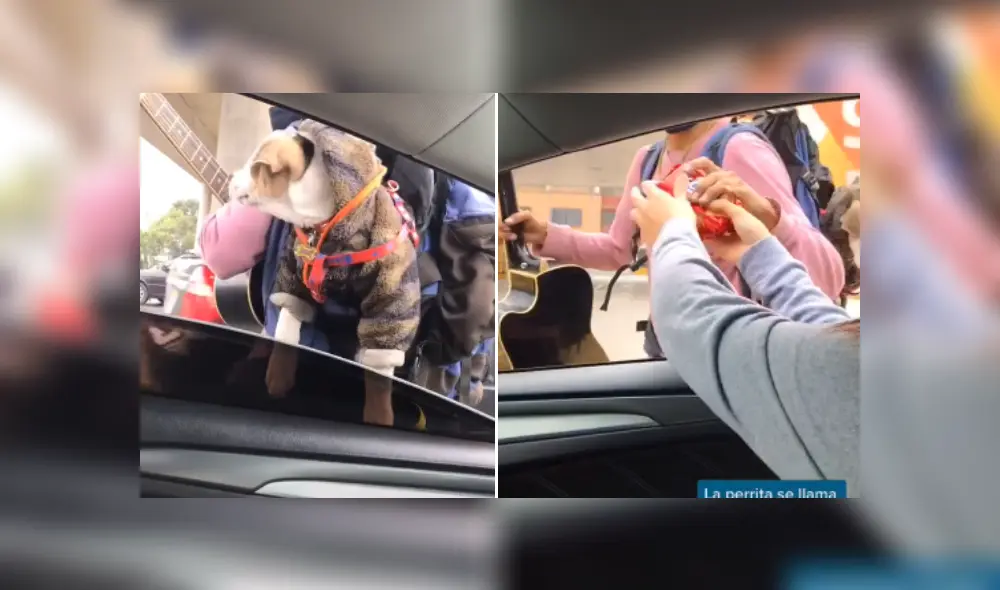 Desliza las imágenes para ver más sobre este conmovedor gesto que tuvo una joven. (Foto: captura / TikTok) Desliza las imágenes para ver más sobre este conmovedor gesto que tuvo una joven. (Foto: captura / TikTok)