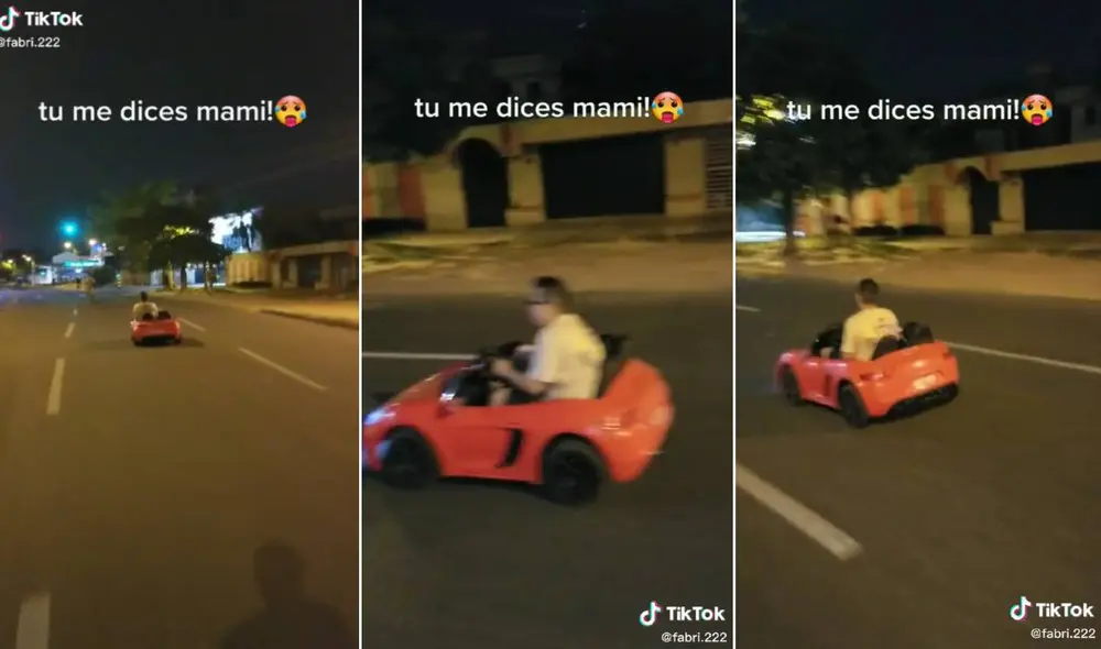 El clip ha conseguido más de 200.000 reproducciones en TikTok. Foto: composición LR/captura de TikTok/@fabri.222