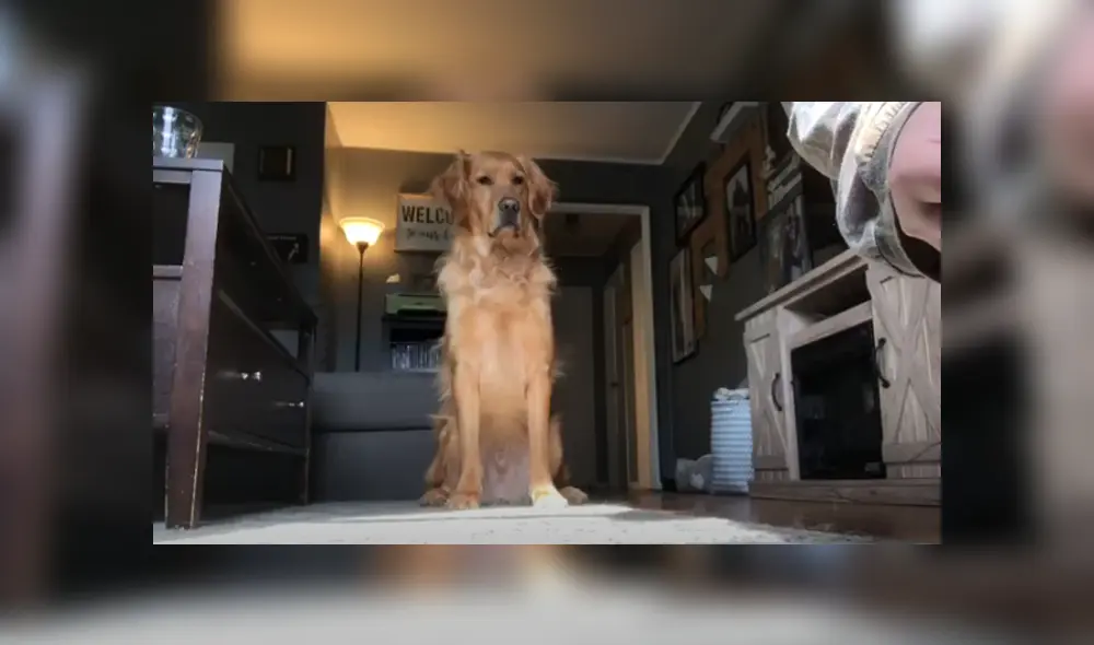 Desliza hacia la izquierda para ver las imágenes del viral de YouTube. Desliza hacia la izquierda para ver las imágenes del viral de YouTube.