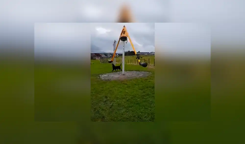 Desliza las imágenes para ver la divertida escena que protagonizó un perro callejero en un parque. Foto: Captura/Facebook Desliza las imágenes para ver la divertida escena que protagonizó un perro callejero en un parque. Foto: Captura/Facebook