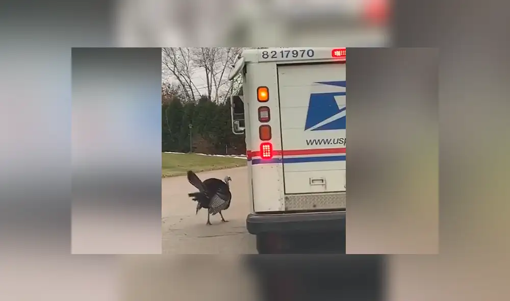 Desliza para ver los momentos más divertidos del video que se hizo viral en Facebook.