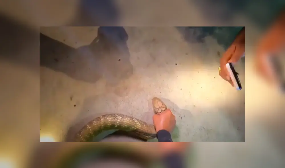 Desliza hacia la izquierda para ver las imágenes del viral de Facebook. Desliza hacia la izquierda para ver las imágenes del viral de Facebook.