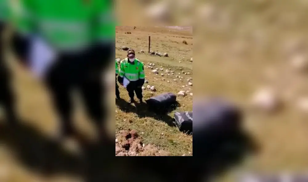 Policía encontró más de 50 kilos de marihuana. Policía encontró más de 50 kilos de marihuana.