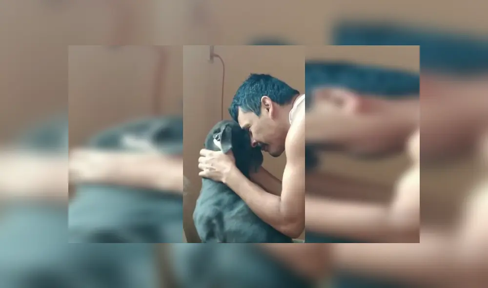 Desliza las imágenes para apreciar la tierna escena que registró una joven de su padre junto a su perro. Fotocaptura: TikTok.
