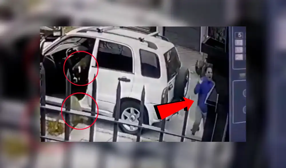 YouTube viral: Perros ven que su dueño es asaltado con pistola y lo rescatan valerosamente [VIDEO] 